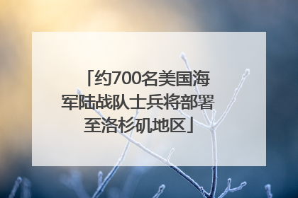约700名美国海军陆战队士兵将部署至洛杉矶地区