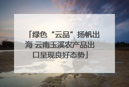 绿色“云品”扬帆出海 云南玉溪农产品出口呈现良好态势