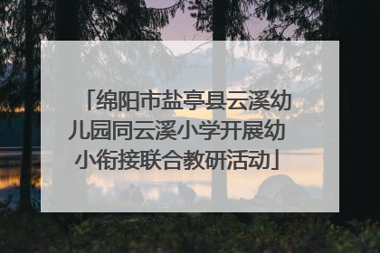 绵阳市盐亭县云溪幼儿园同云溪小学开展幼小衔接联合教研活动