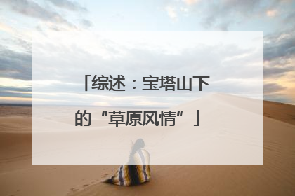 综述：宝塔山下的“草原风情”