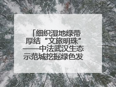 细织湿地绿带 厚结“文旅明珠”——中法武汉生态示范城挖掘绿色发展新动能