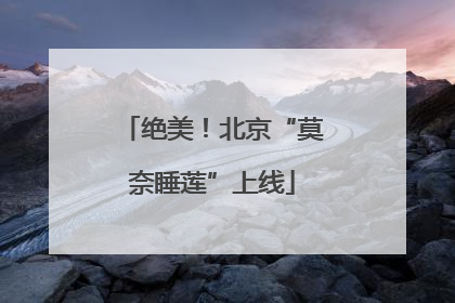 绝美！北京“莫奈睡莲”上线