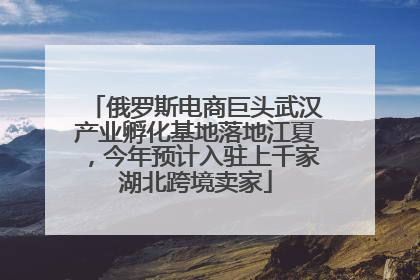 俄罗斯电商巨头武汉产业孵化基地落地江夏，今年预计入驻上千家湖北跨境卖家