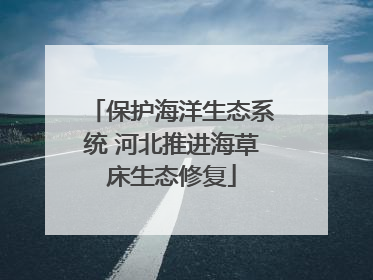 保护海洋生态系统 河北推进海草床生态修复