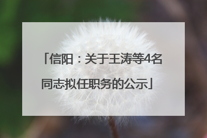 信阳：关于王涛等4名同志拟任职务的公示