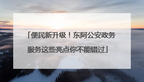 便民新升级！东阿公安政务服务这些亮点你不能错过
