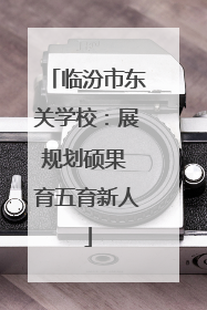 临汾市东关学校：展规划硕果 育五育新人