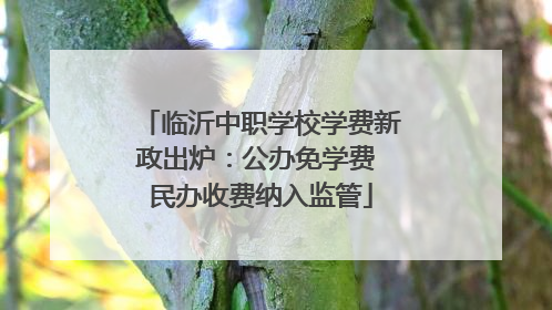 临沂中职学校学费新政出炉：公办免学费 民办收费纳入监管