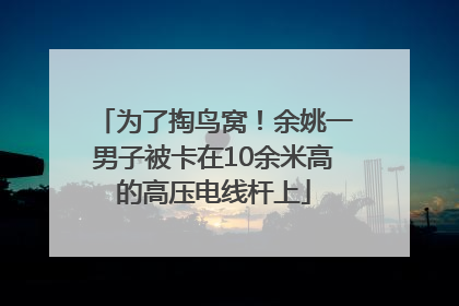 为了掏鸟窝！余姚一男子被卡在10余米高的高压电线杆上