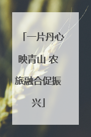 一片丹心映青山 农旅融合促振兴
