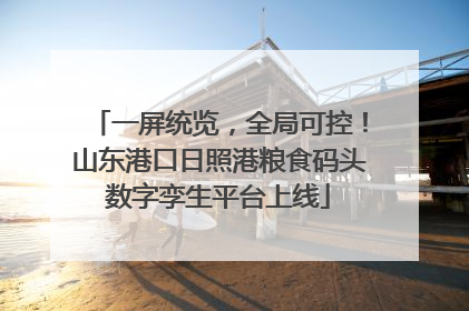 一屏统览，全局可控！山东港口日照港粮食码头数字孪生平台上线