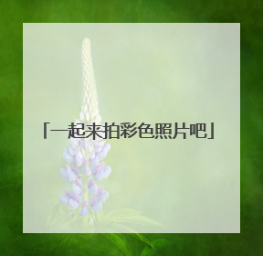 一起来拍彩色照片吧