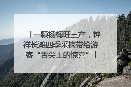一颗杨梅旺三产，钟祥长滩四季采摘带给游客“舌尖上的惊喜”