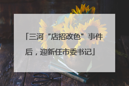 三河“店招改色”事件后，迎新任市委书记