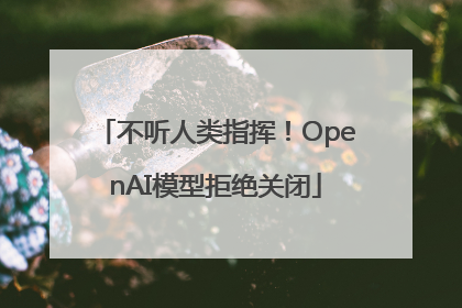 不听人类指挥！OpenAI模型拒绝关闭