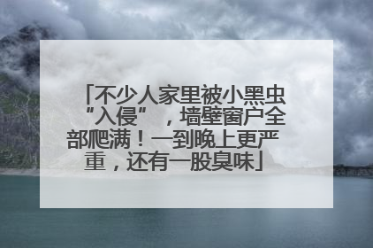 不少人家里被小黑虫“入侵”，墙壁窗户全部爬满！一到晚上更严重，还有一股臭味