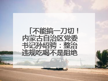 不能搞一刀切！内蒙古自治区党委书记孙绍骋：整治违规吃喝不是阻绝正常人际交往、黯淡人间烟火