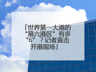 世界第一大港的“第六港区”有多“6”？记者直击开港现场