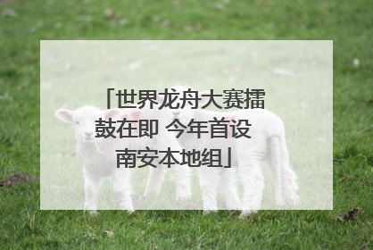 世界龙舟大赛擂鼓在即 今年首设南安本地组