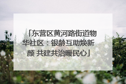 东营区黄河路街道物华社区：银龄互助焕新颜 共建共治暖民心