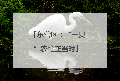 东营区：“三夏”农忙正当时