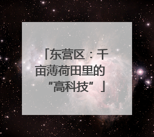 东营区：千亩薄荷田里的“高科技”