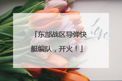 东部战区导弹快艇编队，开火！