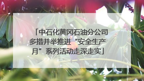 中石化黄冈石油分公司多措并举推进“安全生产月”系列活动走深走实