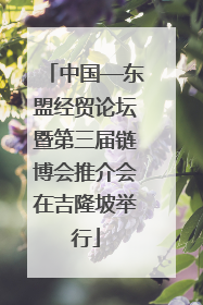 中国—东盟经贸论坛暨第三届链博会推介会在吉隆坡举行