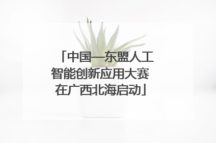 中国—东盟人工智能创新应用大赛在广西北海启动