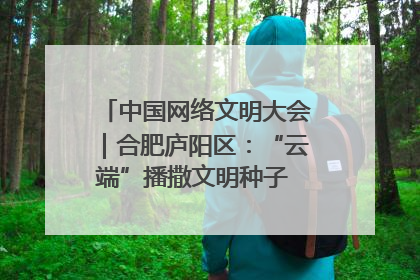 中国网络文明大会｜合肥庐阳区：“云端”播撒文明种子 共建清朗网络空间