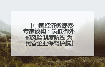 中国经济微观察·专家谈构：筑抵御外部风险制度防线 为民营企业保驾护航