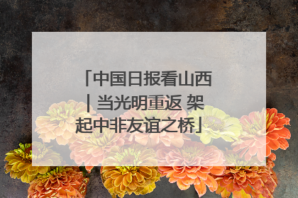 中国日报看山西｜当光明重返 架起中非友谊之桥