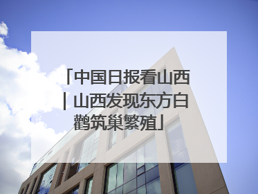 中国日报看山西｜山西发现东方白鹳筑巢繁殖