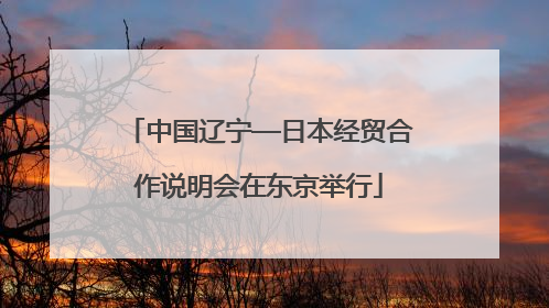 中国辽宁—日本经贸合作说明会在东京举行