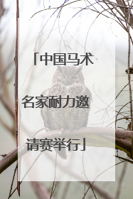 中国马术名家耐力邀请赛举行