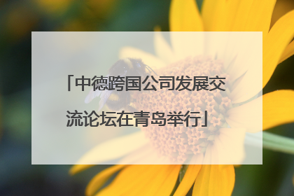 中德跨国公司发展交流论坛在青岛举行