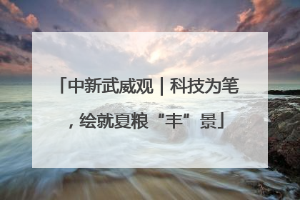 中新武威观｜科技为笔，绘就夏粮“丰”景