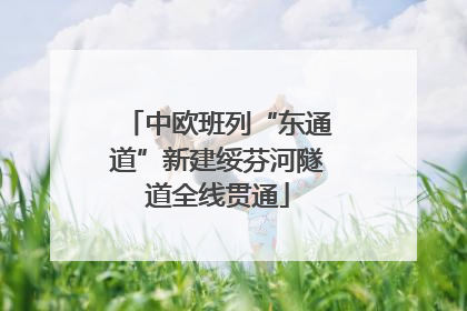 中欧班列“东通道”新建绥芬河隧道全线贯通
