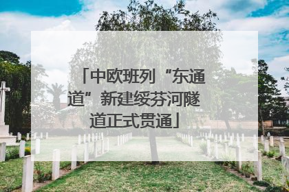 中欧班列“东通道”新建绥芬河隧道正式贯通