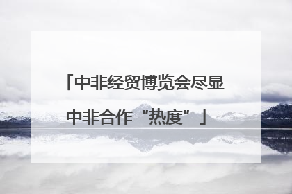 中非经贸博览会尽显中非合作“热度”