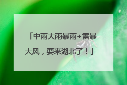 中雨大雨暴雨+雷暴大风，要来湖北了！