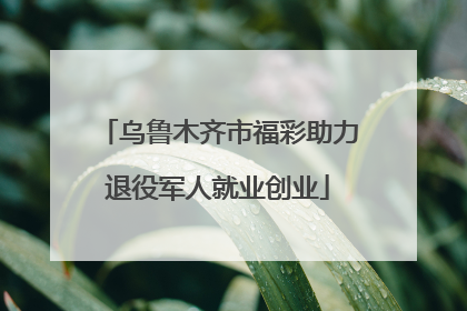 乌鲁木齐市福彩助力退役军人就业创业