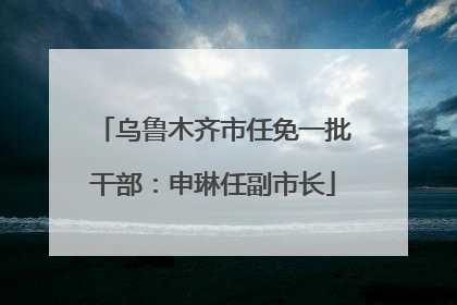 乌鲁木齐市任免一批干部：申琳任副市长