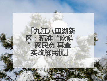 九江八里湖新区：精准“吹哨”聚民意 真查实改解民忧