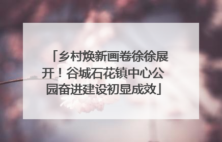 乡村焕新画卷徐徐展开！谷城石花镇中心公园奋进建设初显成效