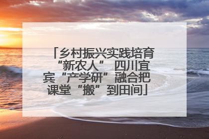 乡村振兴实践培育“新农人” 四川宜宾“产学研”融合把课堂“搬”到田间