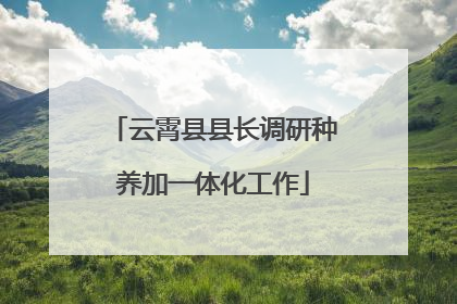 云霄县县长调研种养加一体化工作