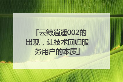 云鲸逍遥002的出现，让技术回归服务用户的本质