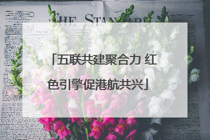 五联共建聚合力 红色引擎促港航共兴